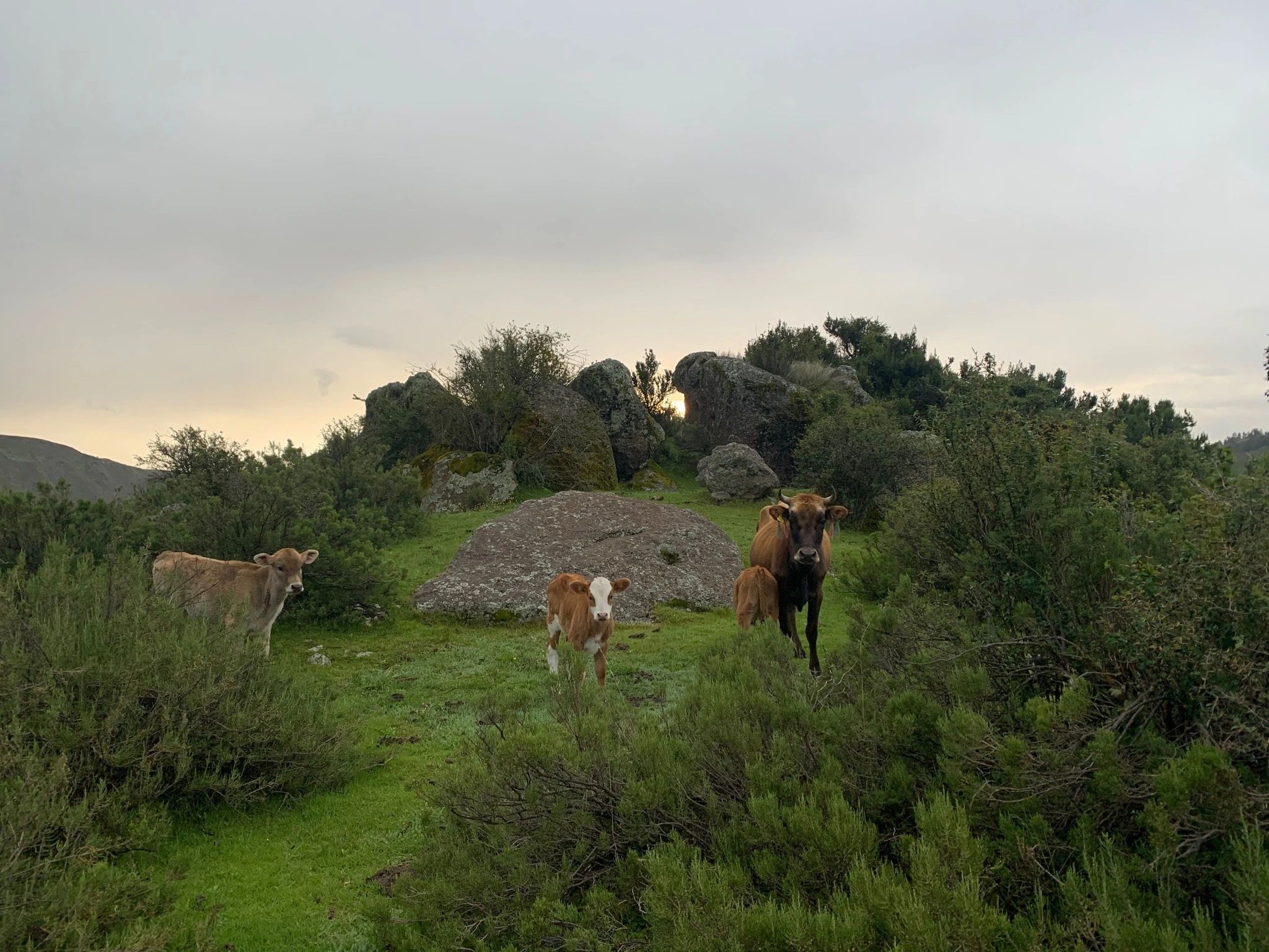 Territorio productivo de Mayaccta, contexto para las propuestas de aprendizaje en campo
